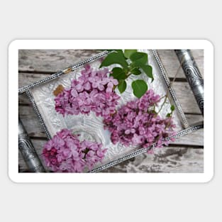 Fragrant purple Lilacs in a vase Sticker